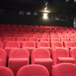 Actualité Cinéma
